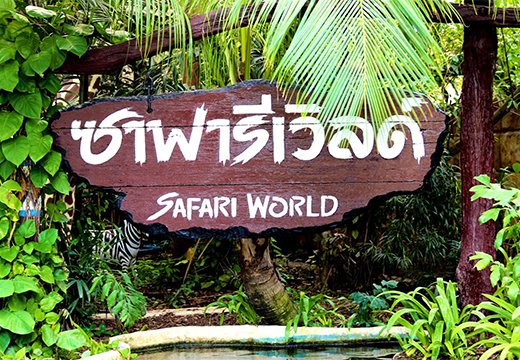 Safari World Bangkok – A Thrilling Wildlife & Marine Park Experience