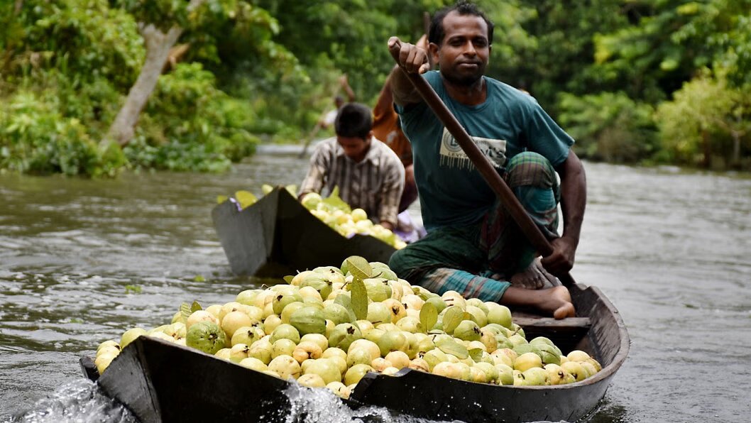 Floating Guava Market – Discover the Venice of Bengal