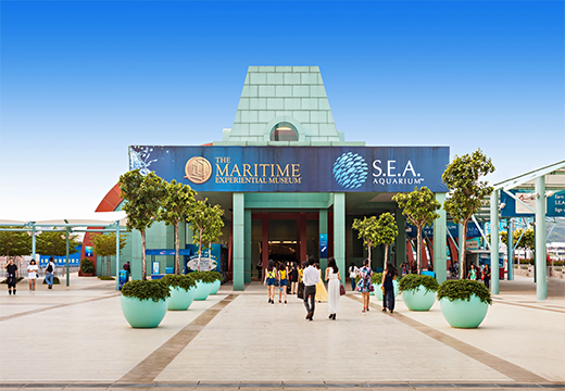 S.E.A. Aquarium Singapore – Dive into Ocean Wonders
