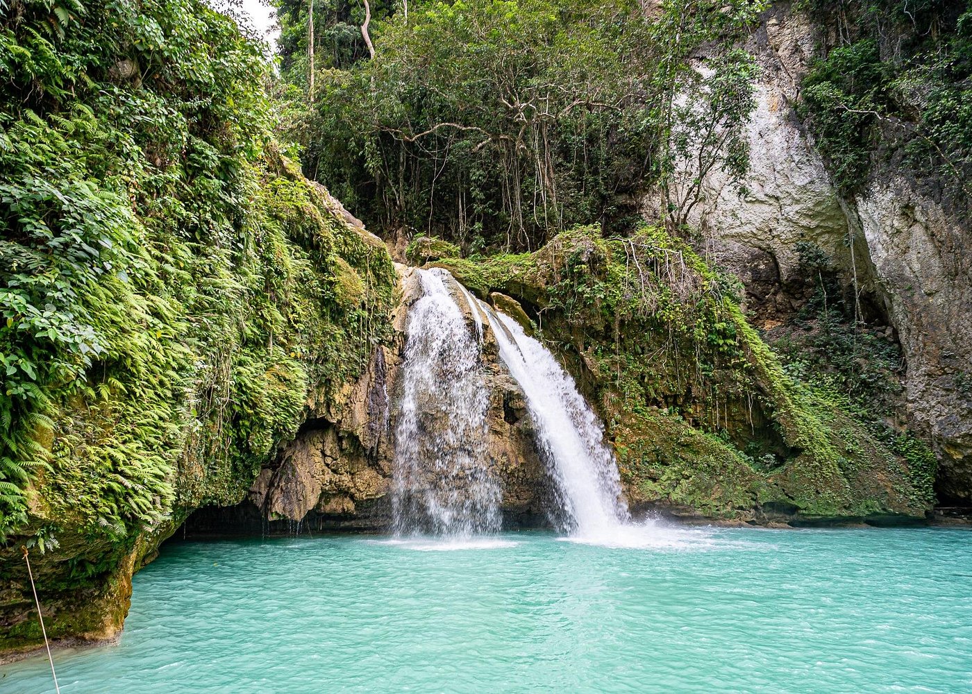 Kawasan Canyoneering and Moalboal Island Tour