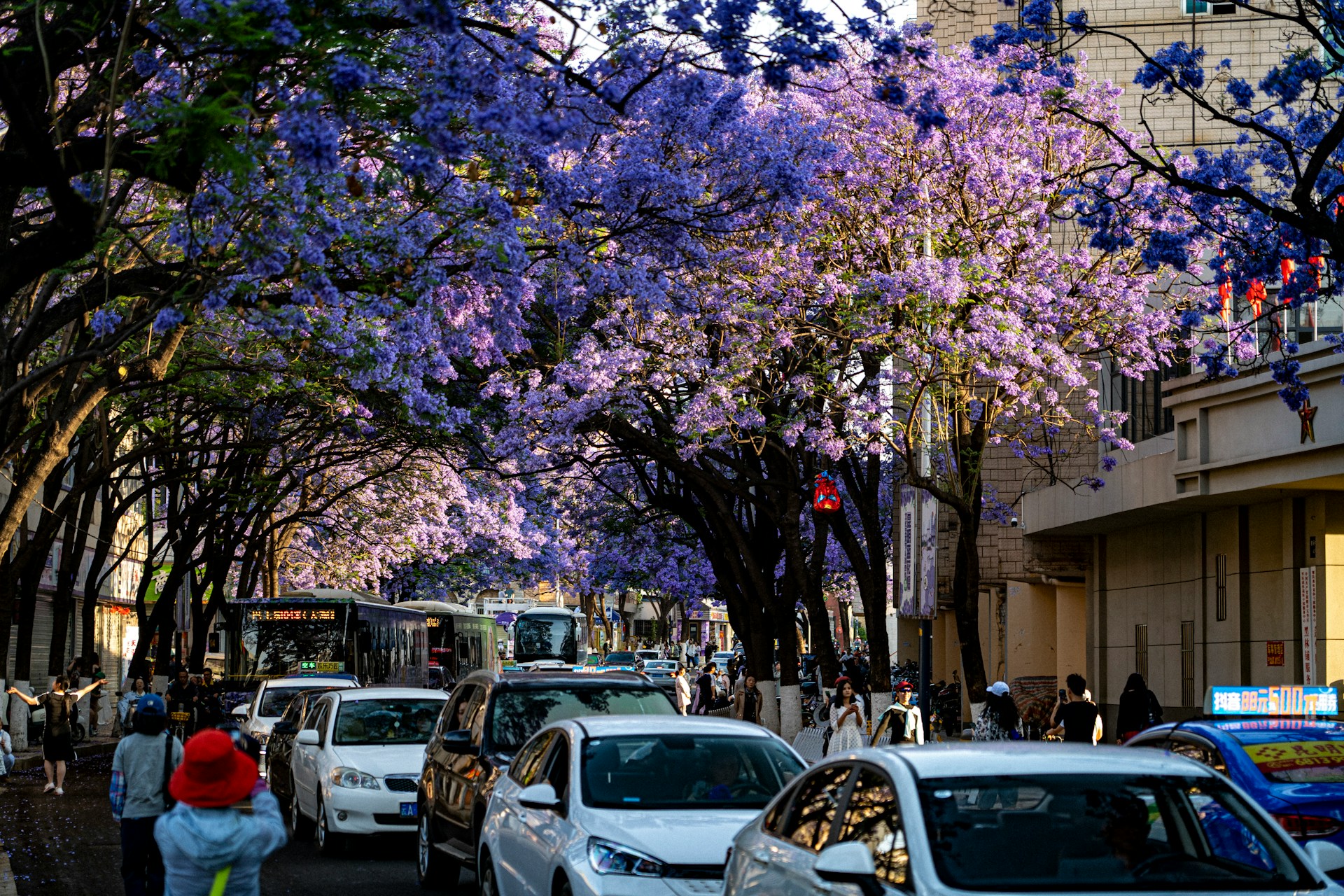 Kunming City Highlights - 4 days China Tour