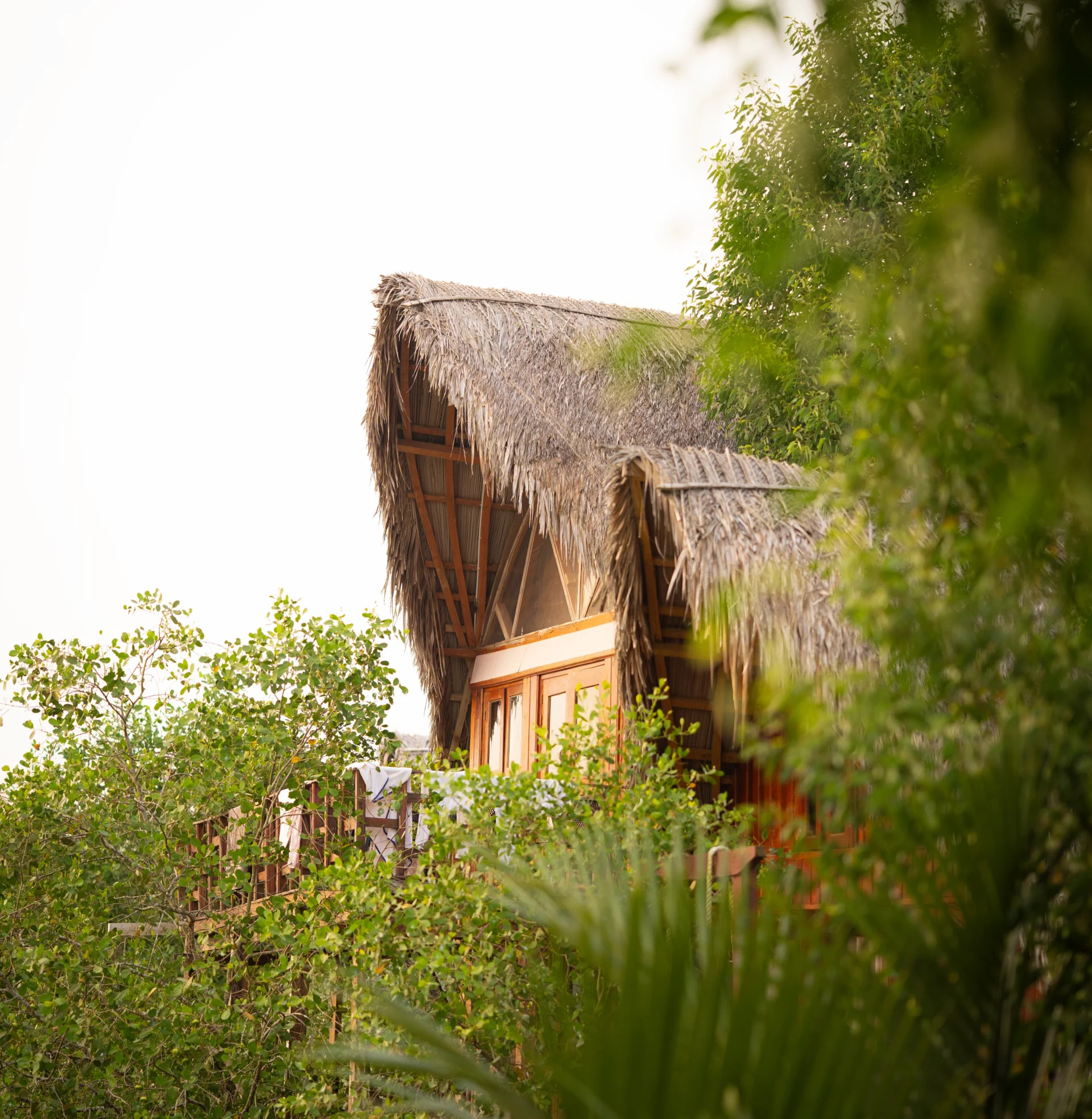 Jungle Bari Mangrove Resort – Sundarban Tour Package