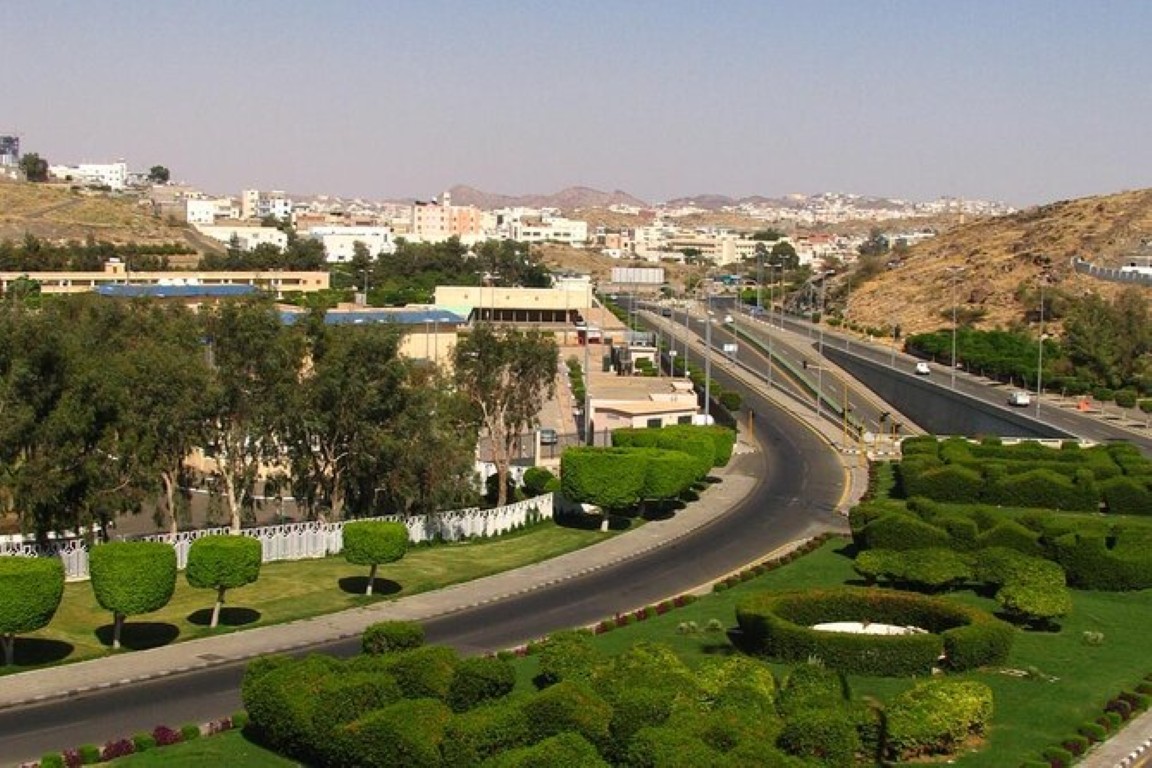 Taif 2 Days / 1 Night Tour Package