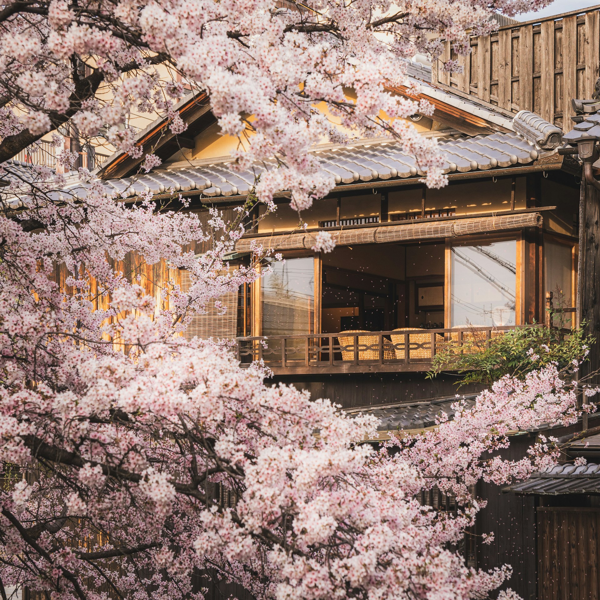 Japan Golden Route – 6 Days / 5 Nights